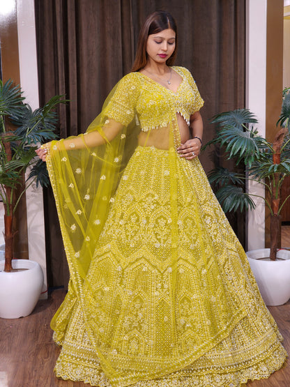 Lehenga set (buy online readymade lehenga choli)