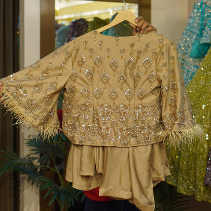 Readymade / PreDraped / Read To Wear Saree