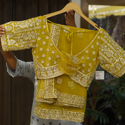 Lehenga set (buy online readymade lehenga choli)