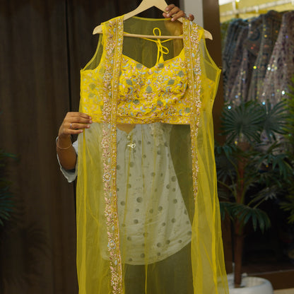 Indo-Western Dress (buy online Indo-Western Dress)
