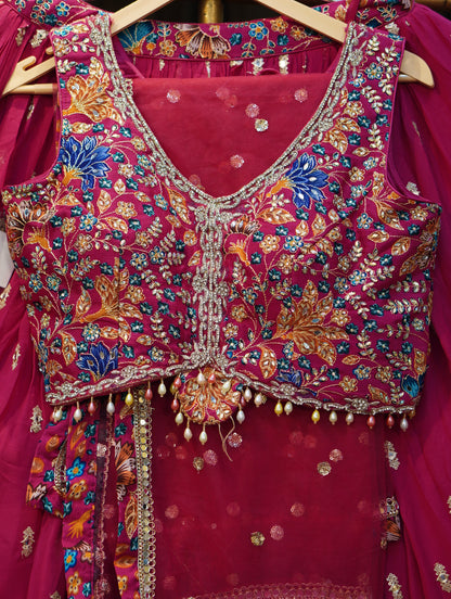 010-207-RANI