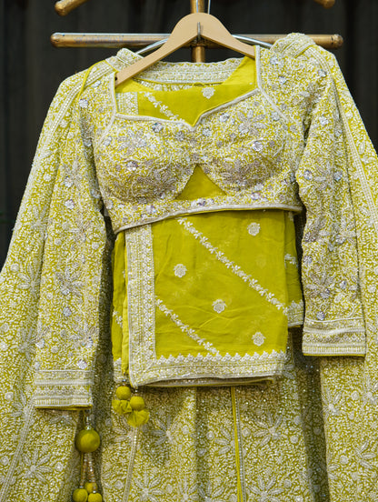 082-1379-LEMON